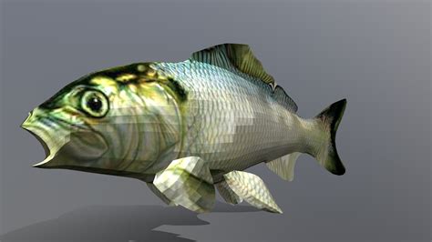 fish 3d model|Fish 3D models .
